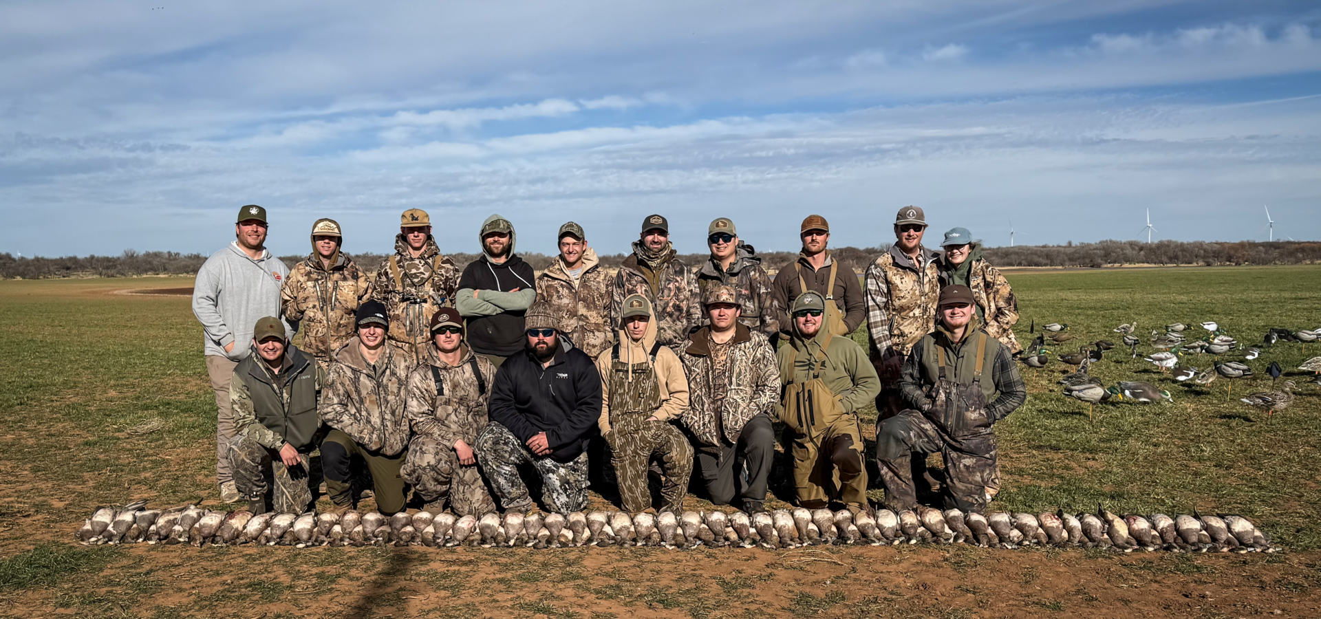 Wigeon 900.png